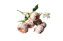 Load image into Gallery viewer, Artificial Peony/Frangipani Bunch 43cm – Available in 4 Colors