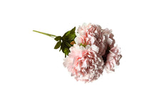 Load image into Gallery viewer, Artificial Bloomed Peony Bunch 45cm - 3 Colours Available