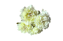 Load image into Gallery viewer, Artificial Bloomed Peony Bunch 45cm - 3 Colours Available