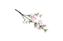Load image into Gallery viewer, Artificial Single Stem Cherry Blossom 49cm - 2 Colors Available