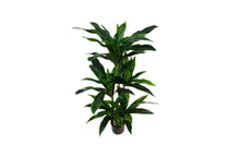Load image into Gallery viewer, Artificial Pot Plant - 120CM