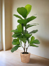 Load image into Gallery viewer, Artificial Fiddle Leaf Plant - 110CM