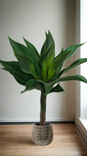 Load image into Gallery viewer, CLEARANCE - Artificial Yakka Plant - 110CM