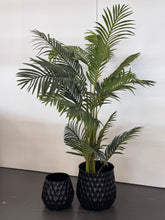 Load image into Gallery viewer, Artificial Palm Tree Plant - 170cm
