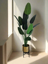 Load image into Gallery viewer, Low Gold Planter
