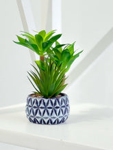 Load image into Gallery viewer, Diamond Pattern Pot Succulent Plant

